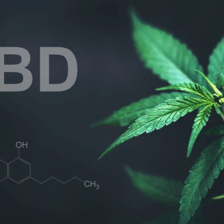 3 COMPONENTE ALE SISTEMULUI ENDOCANNAINOID
